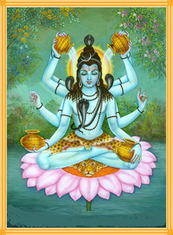 Armonia Yoga Modena Mahamrityunjaya Yoga Modena Mahamrityunjaya