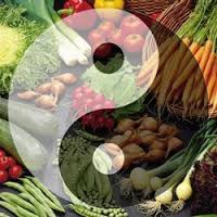 Macrobiotica Modena yoga meditazione armonia yoga modena armonia meditazione macrobiotica