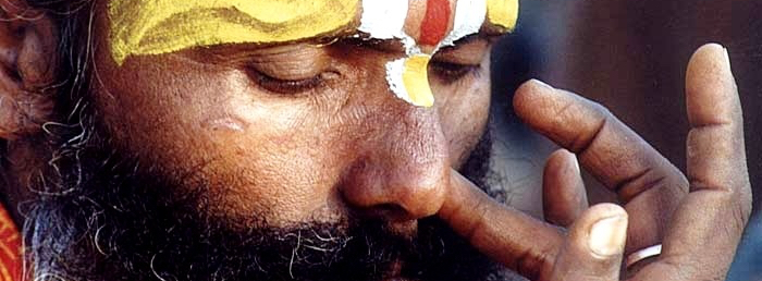 Prana Vidya