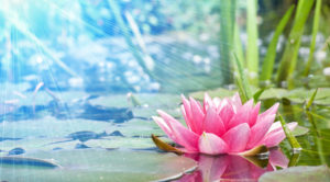 meditazione modena mantra yoga armonia bhajan mantra modena meditazione bhajan yoga armonia